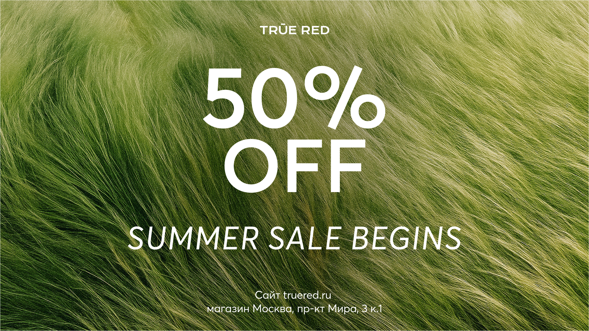 PC - Summer Sale